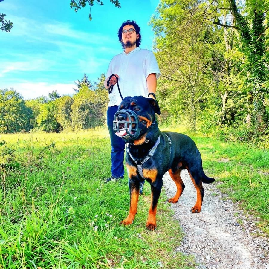 Manaël Blondeau - Dog sitter à La Roche-sur-Yon